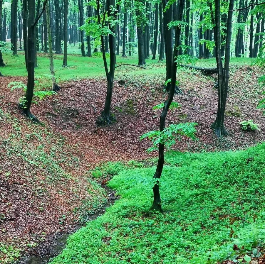 Вілла Ranczo W Dolinie Karpia - Blisko "Energylandii" Zator Spytkowice  Екстер'єр фото